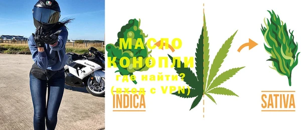 индика Тобольск