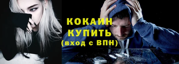 индика Тобольск