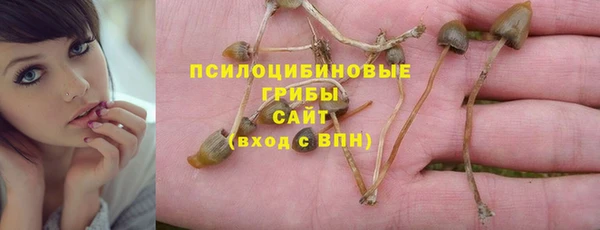 кокс Вяземский