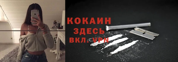 кокс Вяземский