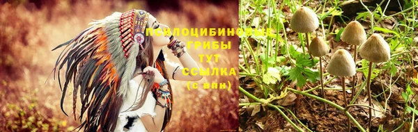 кокс Вяземский
