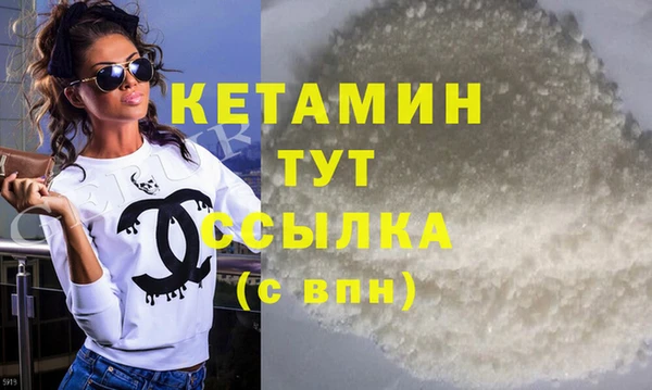 индика Тобольск