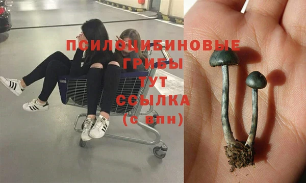 индика Тобольск