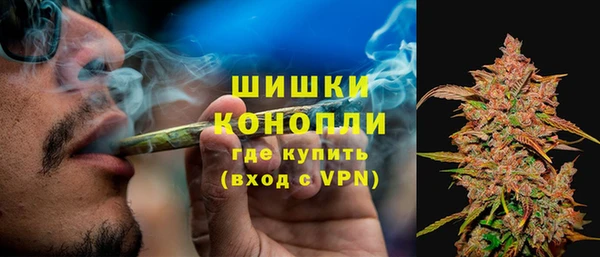 индика Тобольск